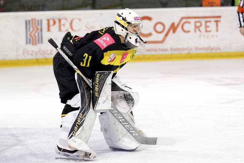 Ice Hockey. Polska Hokej Liga. GKS Tychy - Tauron KH GKS Katowice. 19.11.2017