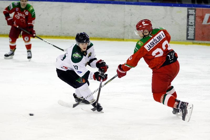Ice Hockey. Polska Hokej Liga. Naprzod Janow - Zaglebie Sosnowiec. 23.02.2019