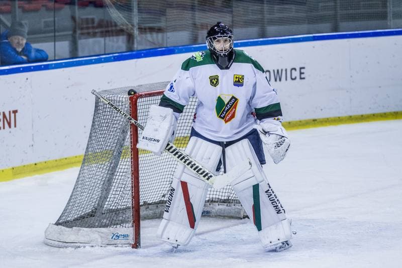 Ice Hockey. PHL. Naprzod Janow - JKH GKS Jastrzebie. 17.01.2020