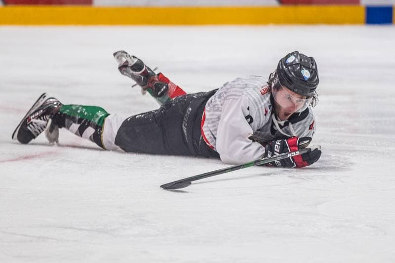 Ice Hockey. Polska Hokej Liga. GKS Tychy - Tauron Podhale Nowy Targ. 25.10.2020
