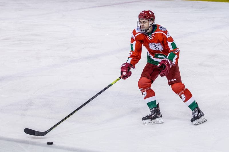 Ice Hockey. PHL. Naprzod Janow - Zaglebie Sosnowiec. 03.11.2019