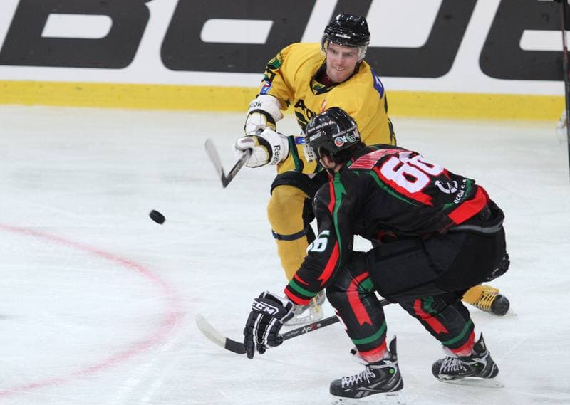 Ice Hockey. Polska Hokej Liga. HC GKS Katowice - GKS Tychy. 11.01.2015