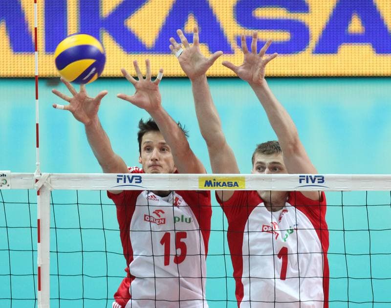 Volleyball. World League. Poland - Brazil. 03.06.2012