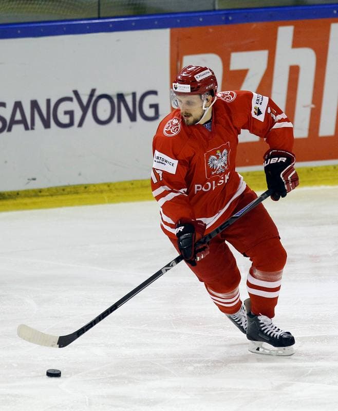 Ice Hockey. Euro Ice Hockey Challenge. Poland - Austria. 07.11.2015