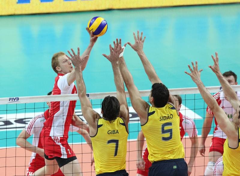 Volleyball. World League. Poland - Brazil. 29.06.2011