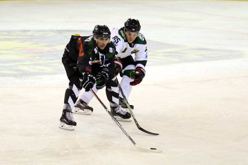 Ice Hockey. Polska Hokej Liga. Naprzod Janow - GKS Tychy. 15.10.2017
