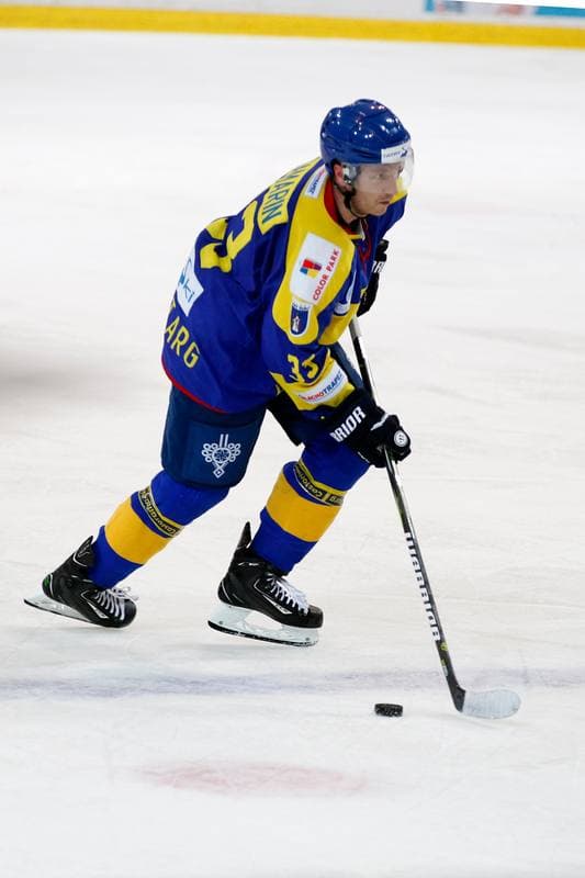 Ice Hockey. Polska Hokej Liga. SMS PZHL Katowice - TatrySKI Podhale Nowy Targ. 26.10.2017