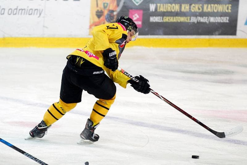 Ice Hockey. Polska Hokej Liga. Tauron KH GKS Katowice - GKS Tychy. 14.01.2018