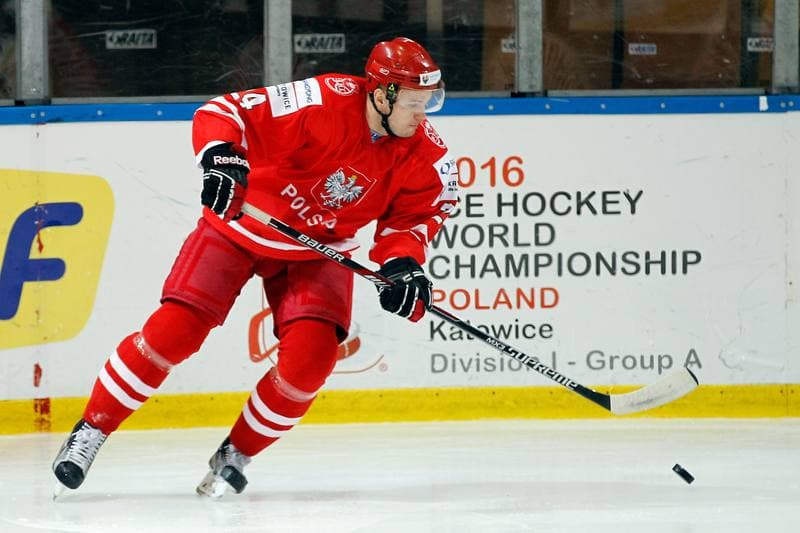 Ice Hockey. EIHC. Poland - France. 19.12.2015
