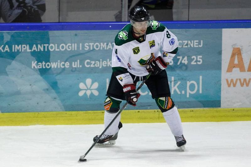 Ice Hockey. Polska Hokej Liga. Anteo Naprzod Janow - PGE Orlik Opole. 20.02.2018