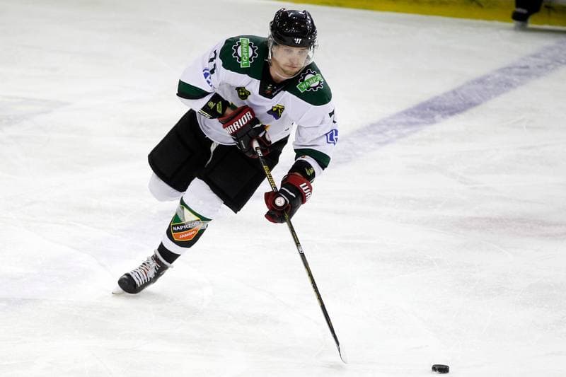 Ice Hockey. Polska Hokej Liga. Anteo Naprzod Janow - PGE Orlik Opole. 20.02.2018