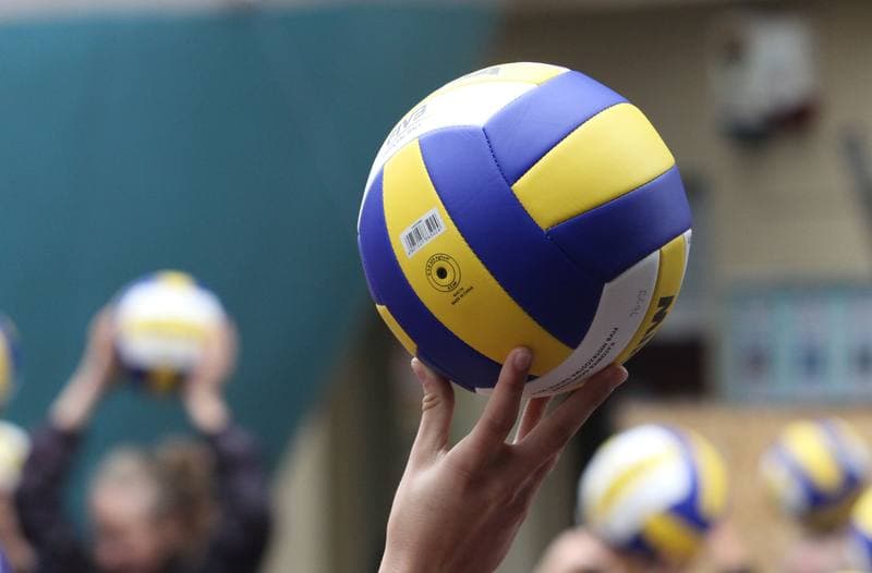 Volleyball. Promotion Action "I Love Volleyball". 10.09.2013