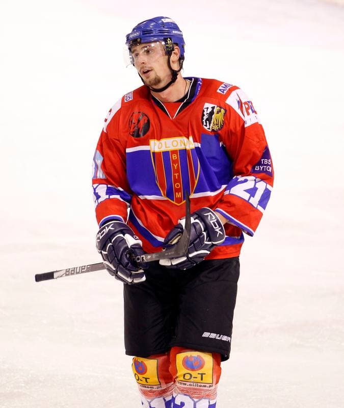 Ice Hockey. Polska Hokej Liga. Naprzod Janow - Polonia Bytom. 02.11.2014