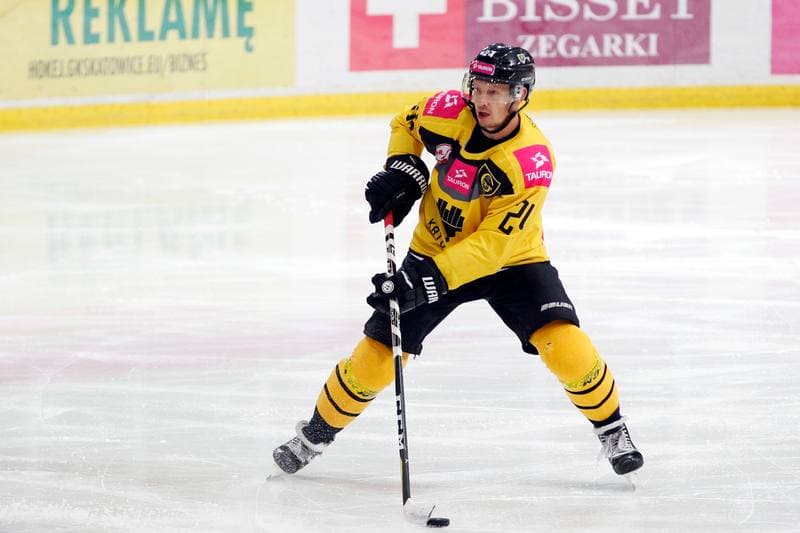 Ice Hockey. Tauron Hokej Liga. Tauron KH GKS Katowice - Anteo Naprzod Janow. 03.11.2017