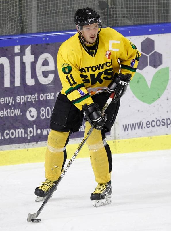 Ice Hockey. Tauron Hokej Liga. HC GKS Katowice - Polonia Bytom. 02.01.2015