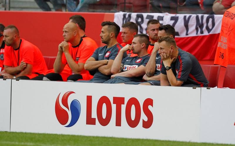 Football. UEFA Euro 2016 Qualifiers. Poland - Georgia. 13.06.2015