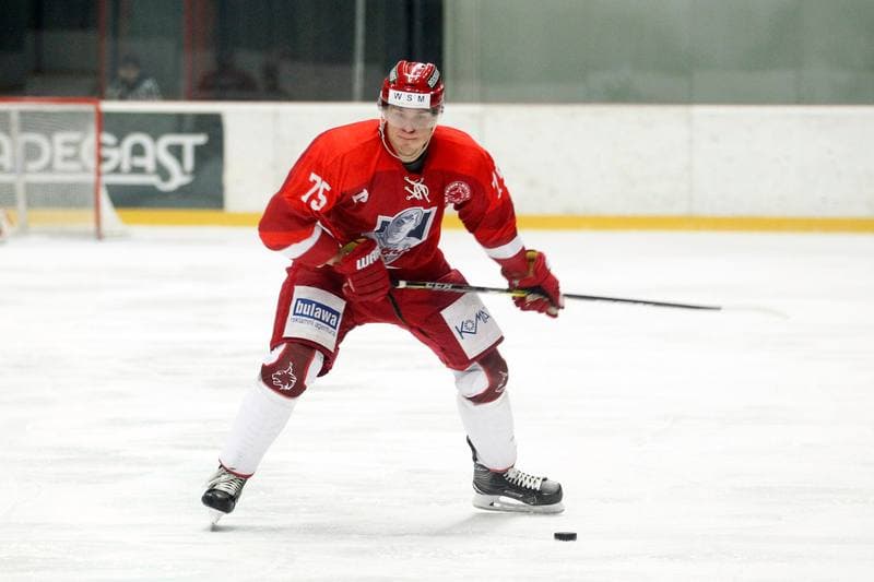 Ice Hockey. WSM Liga. HC Frydek-Mistek - HC AZ Havirov 2010. 30.01.2017