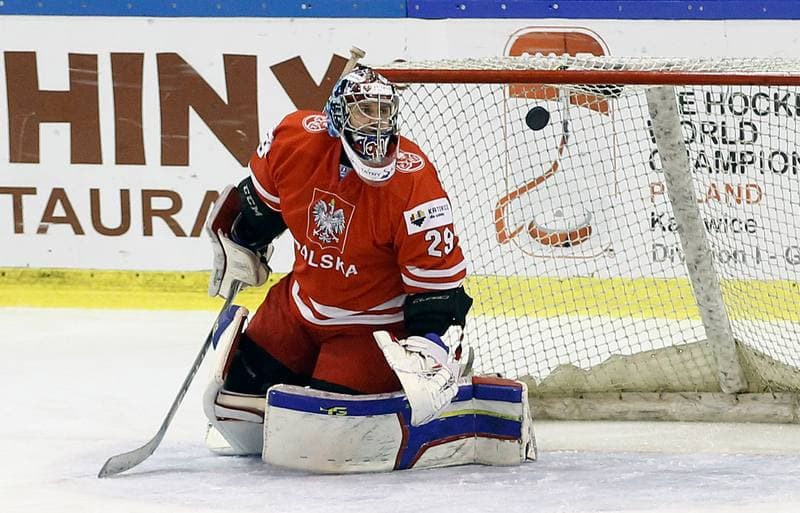 Ice Hockey. Euro Ice Hockey Challenge. Poland - Austria. 07.11.2015