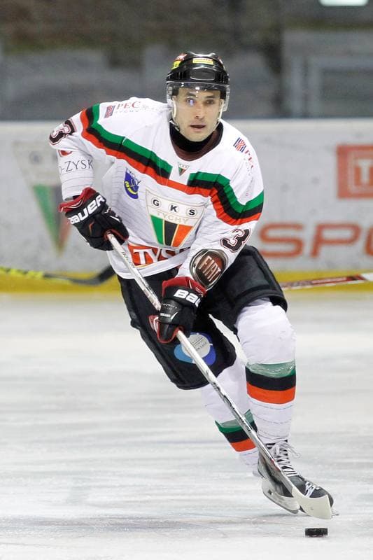 Ice Hockey. Polska Hokej Liga. GKS Tychy - Podhale Nowy Targ. 29.01.2016