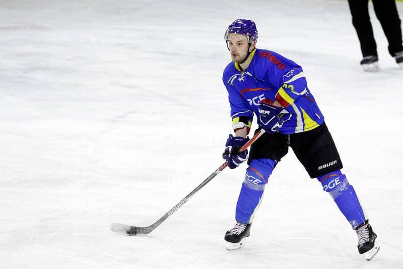 Ice Hockey. Polska Hokej Liga. Anteo Naprzod Janow - PGE Orlik Opole. 20.02.2018