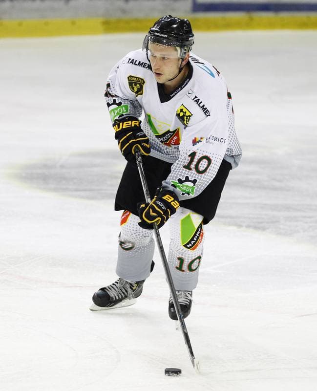Ice Hockey. Polska Hokej Liga. Naprzod Janow - Podhale Nowy Targ. 14.11.2014