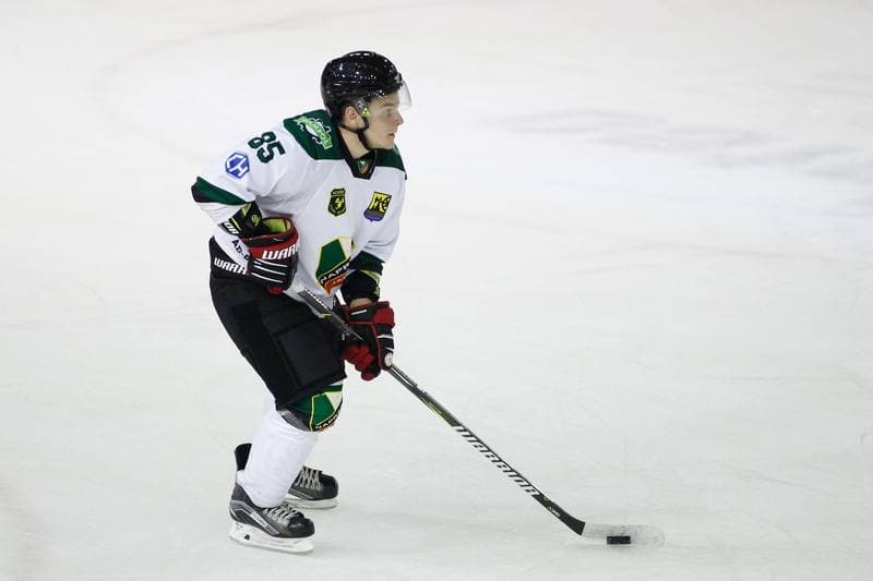Ice Hockey. Polska Hokej Liga. Naprzod Janow - JKH GKS Jastrzebie. 17.09.2017