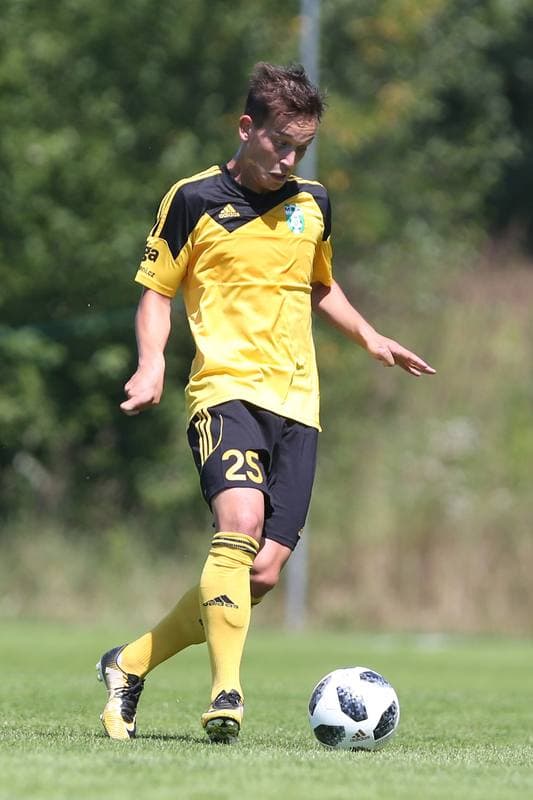 Football. Sparing. Zaglebie Sosnowiec - MFK Karvina. 04.07.2018