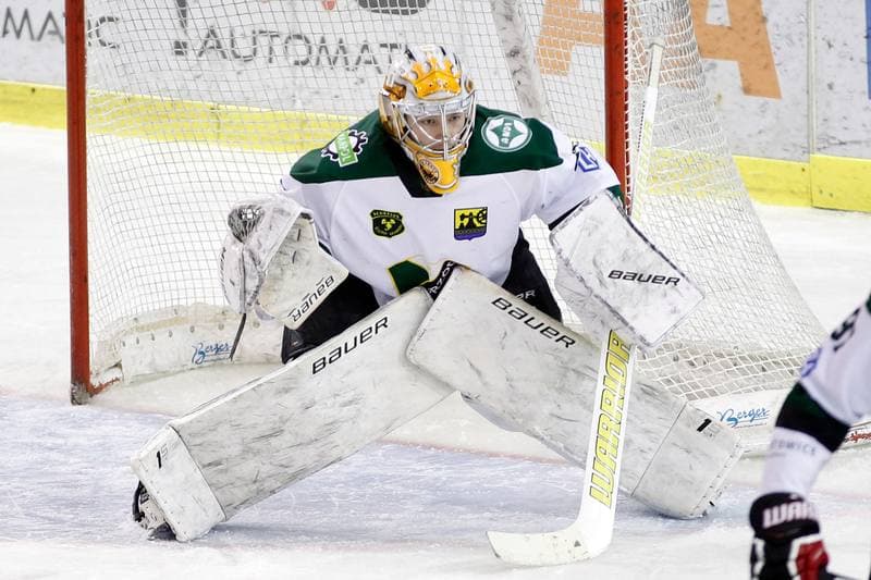 Ice Hockey. Polska Hokej Liga. Anteo Naprzod Janow - PGE Orlik Opole. 20.02.2018