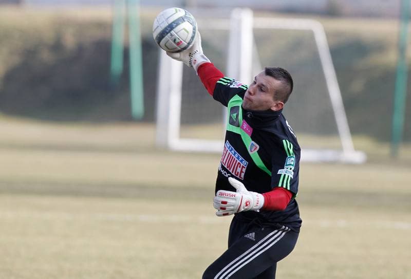 Football. Piast Gliwice. LZS Piotrowka. 10.02.2014