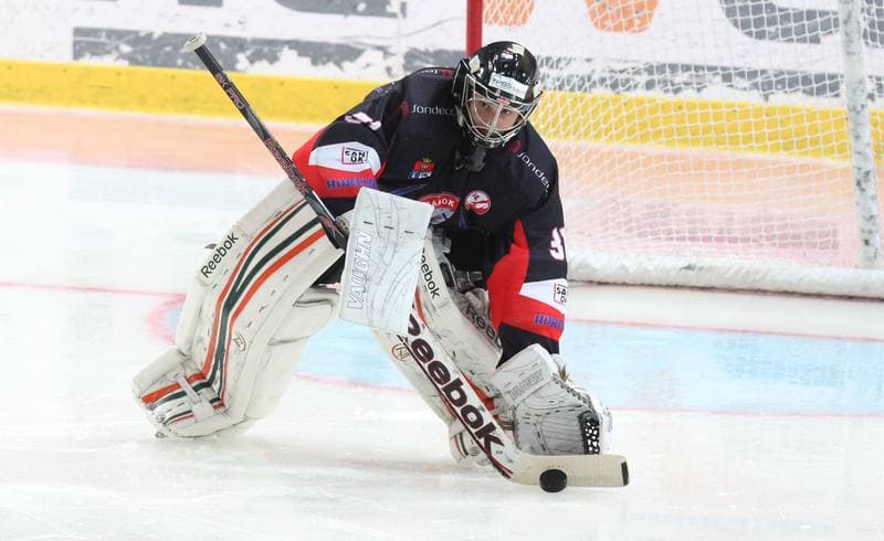 Ice Hockey. Polska Hokej Liga. HC GKS Katowice - Ciarko KH Sanok. 09.01.2015