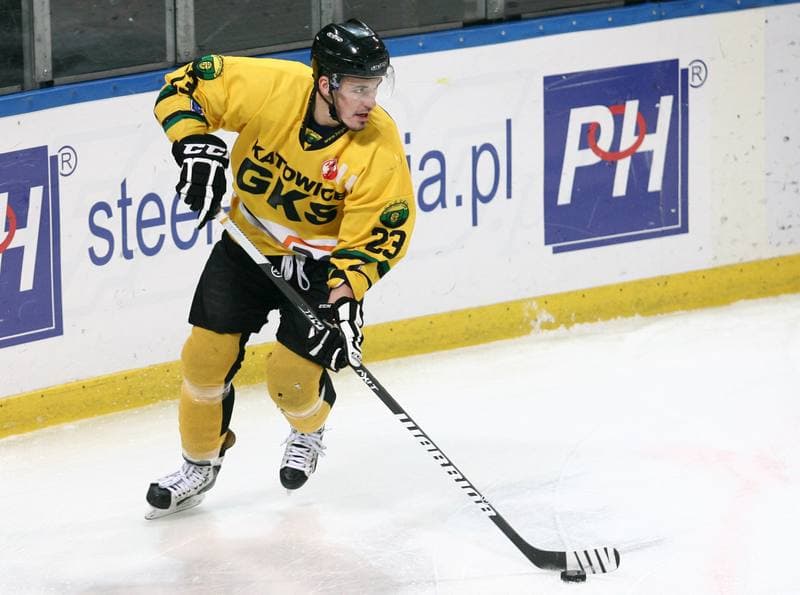 Ice Hockey. Polska Hokej Liga. HC GKS Katowice - Orlik Opole. 27.01.2015