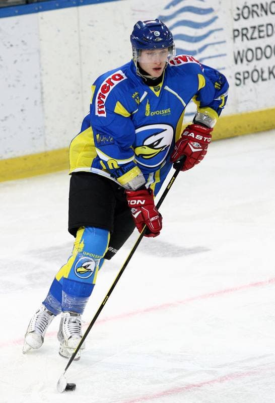 Ice Hockey. Polska Hokej Liga. HC GKS Katowice - Orlik Opole. 27.01.2015
