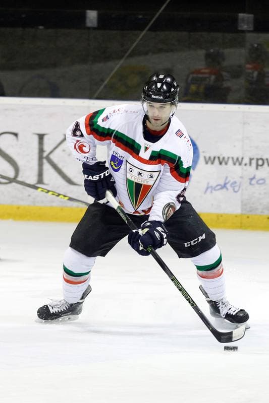 Ice Hockey. Polska Hokej Liga. GKS Tychy - Podhale Nowy Targ. 29.01.2016