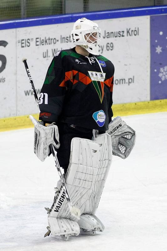 Ice Hockey. Tauron Hokej Liga. Anteo Naprzod Janow - GKS Tychy. 26.01.2018