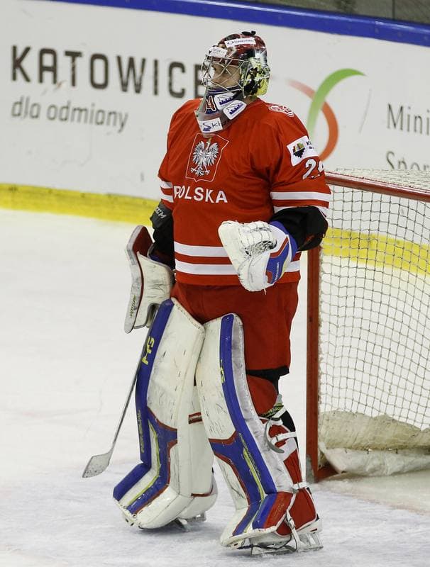 Ice Hockey. Euro Ice Hockey Challenge. Poland - Austria. 07.11.2015
