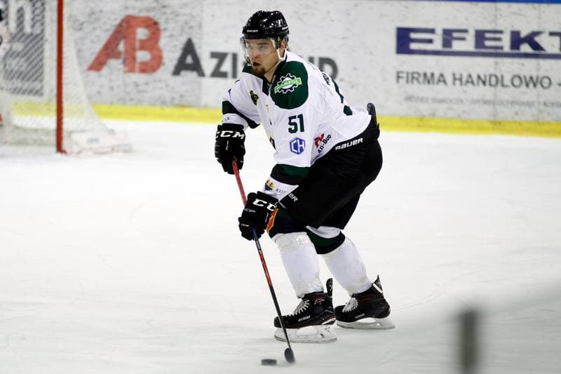 Ice Hockey. Polska Hokej Liga. Naprzod Janow - Zaglebie Sosnowiec. 23.02.2019