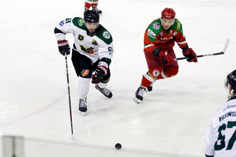 Ice Hockey. Polska Hokej Liga. Naprzod Janow - Zaglebie Sosnowiec. 23.02.2019