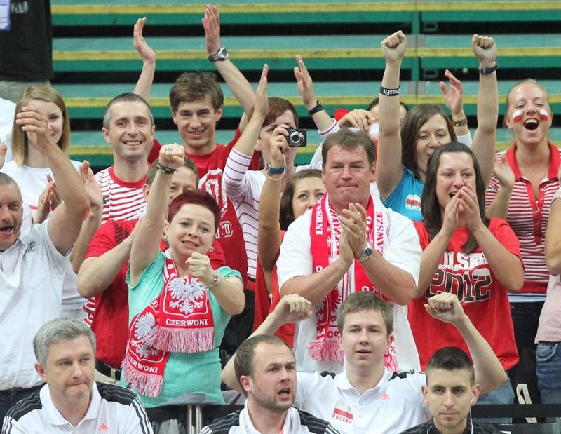Volleyball. World League. Poland - Brazil. 03.06.2012