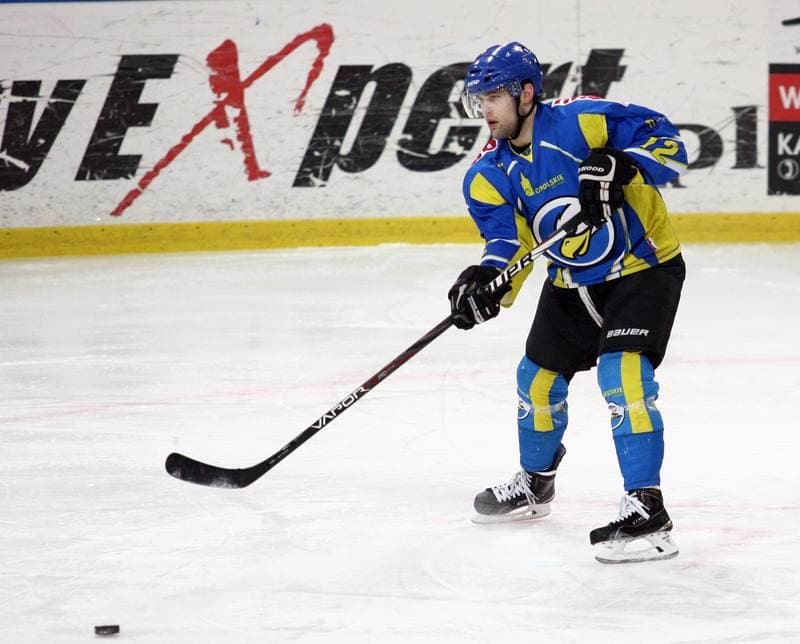 Ice Hockey. Polska Hokej Liga. HC GKS Katowice - Orlik Opole. 27.01.2015