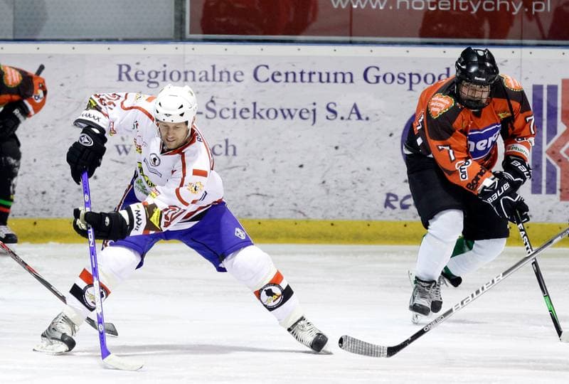 Ice Hockey. Hokej Z Gwiazdami. Reprezentacja Hokejowa Artystow - Motorsportowcy. 18.01.2014