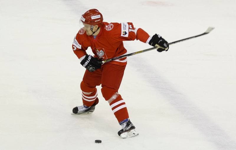 Ice Hockey. Euro Ice Hockey Challenge. Poland - Austria. 07.11.2015
