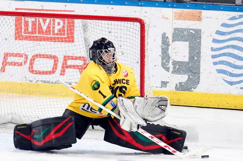 Ice Hockey. Polska Hokej Liga. HC GKS Katowice - Orlik Opole. 27.01.2015
