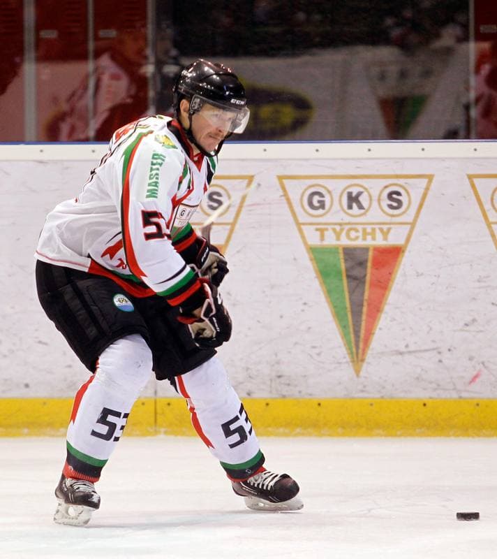 Ice Hockey. Polska Hokej Liga. GKS Tychy - Ciarko KH Sanok. 23.01.2015