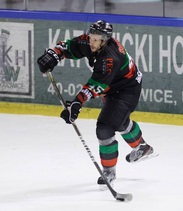 Ice Hockey. Polska Hokej Liga. Naprzod Janow - GKS Tychy. 19.10.2014