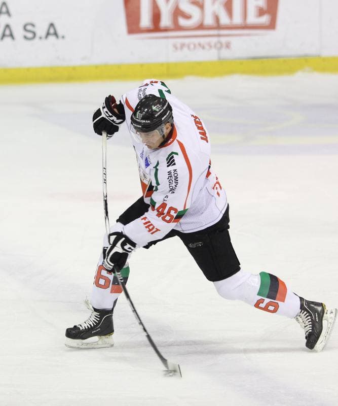 Ice Hockey. Polska Liga Hokejowa. GKS Tychy - Comarch Cracovia Krakow. 15.02.2013