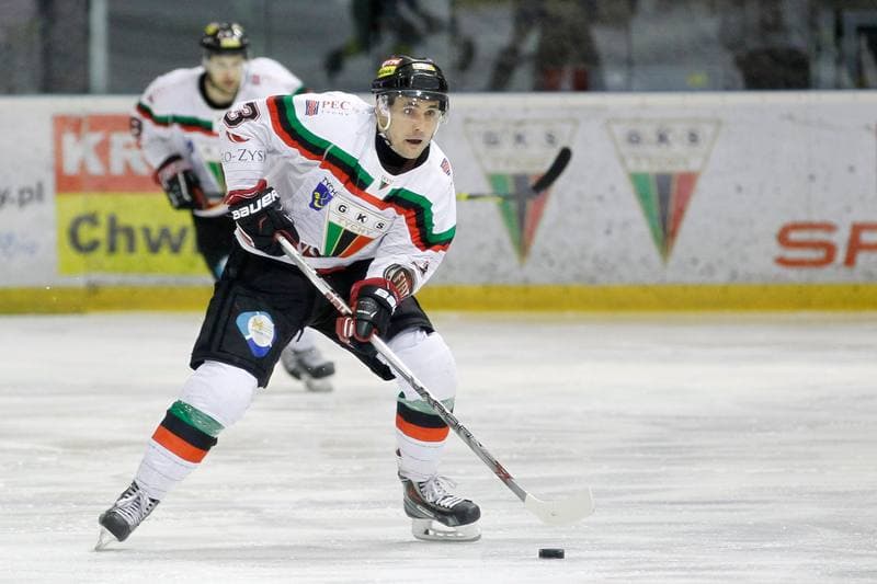 Ice Hockey. Polska Hokej Liga. GKS Tychy - Podhale Nowy Targ. 29.01.2016