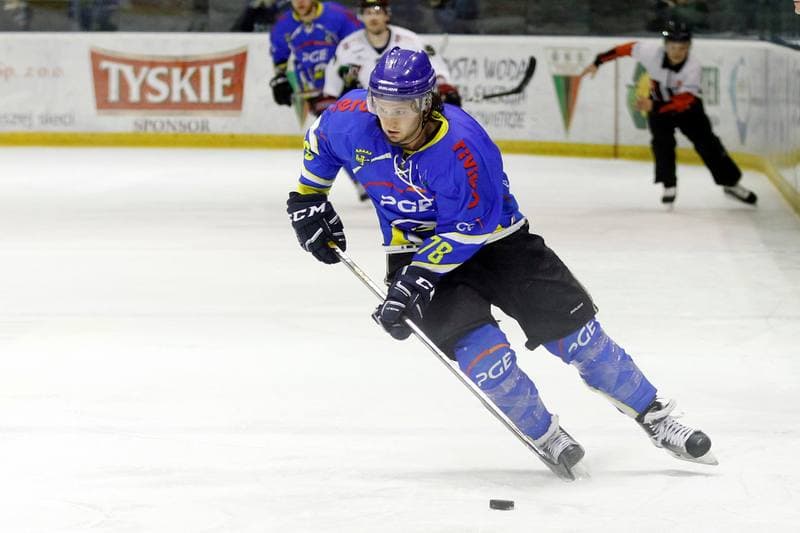 Ice Hockey. Polska Hokej Liga. GKS Tychy - Orlik Opole. 13.01.2017