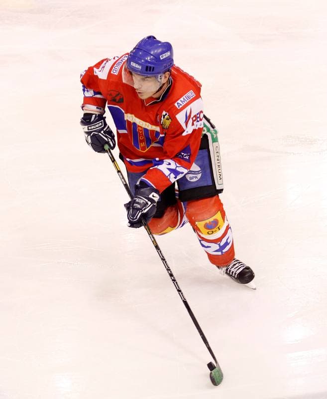 Ice Hockey. Polska Hokej Liga. Naprzod Janow - Polonia Bytom. 02.11.2014