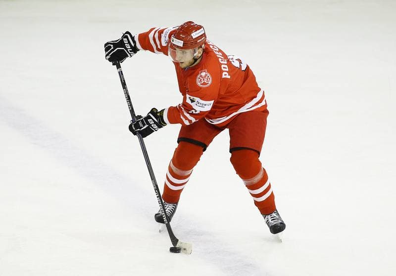 Ice Hockey. Euro Ice Hockey Challenge. Poland - Austria. 07.11.2015