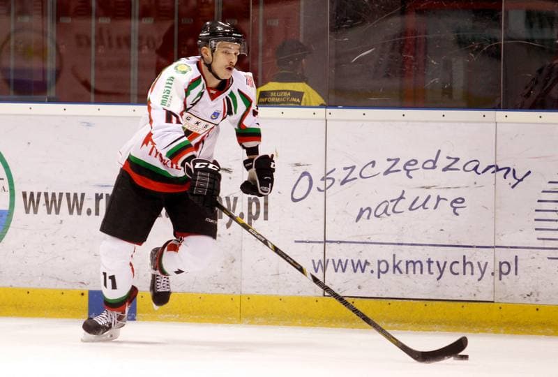 Ice Hockey. Polska Hokej Liga. GKS Tychy - Ciarko KH Sanok. 23.01.2015